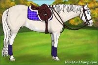 Horse Color:Cremello Splash  and Cremello Splash 