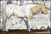 Horse Color:Chocolate Palomino Dun Tobiano Appaloosa