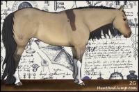 Horse Color:Brown Roan Dun 