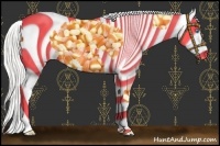 Horse Color:Cremello Splash Appaloosa  and Cremello Splash Appaloosa 