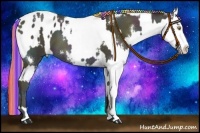 Horse Color:Painted White Spotted Midnight Silver Classic Champagne Pearl Onyx Sabino and Painted White Spotted Midnight Chocolate Palomino Pearl Onyx Splash Tobiano Appaloosa Rabicano