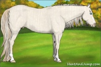 Horse Color:Cremello Dun Splash and Smoky Creme Dun