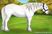 Horse Color:Cremello Dun Splash  and Cremello Dun Splash 