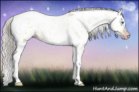 Horse Color:Gray Silver Amber Cream Champagne Roan Dun Splash Tobiano Frame Appaloosa Rabicano 