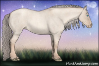 Horse Color:Gray Cremello Roan Dun 