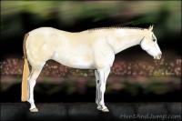 Horse Color:White Spotted Gold Champagne Pearl Dun Sabino Splash Frame