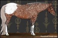 Horse Color:Silver Bay Snowflake Varnish