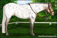 Horse Color:Silver Buckskin Roan Near Leopard 