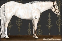 Horse Color:Silver Buckskin Roan Pearl Blanket 