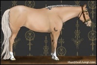 Horse Color:Silver Bay Pearl