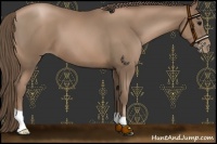 Horse Color:Black Pearl
