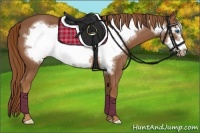 Horse Color:Chestnut Frame 