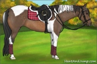 Horse Color:Buckskin Tobiano 