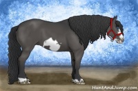 Horse Color:Black Frame