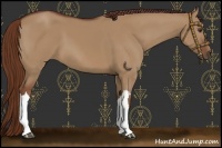Horse Color:Red Dun