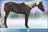 Horse Color:Liver Chestnut Mushroom 