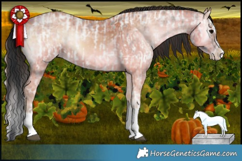 Horse Color:Brown Ice Onyx Splash Tobiano Appaloosa  and Bay Ice Onyx Splash 