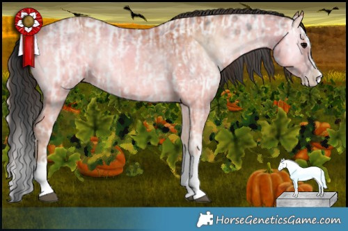 Horse Color:Brown Ice Onyx Splash Tobiano Appaloosa  and Bay Ice Onyx Splash 