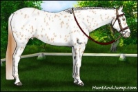 Horse Color:Chocolate Bay Pearl Leopard 