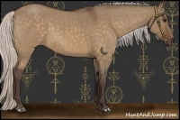 Horse Color:Silver Brown Roan Dun 