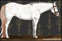 Horse Color:Amber Cream Champagne Pearl Leopard 
