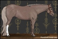 Horse Color:Chocolate Silver Black 