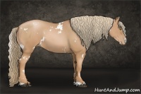 Horse Color:White Spotted Chestnut Pearl 