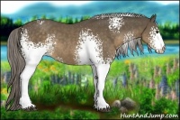 Horse Color:White Spotted Chocolate Palomino Sabino Rabicano