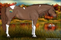 Horse Color:Red Roan Tobiano 