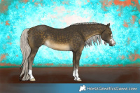 Horse Color:Silver Buckskin 
