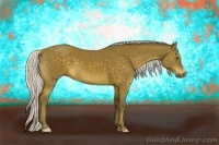 Horse Color:Silver Buckskin