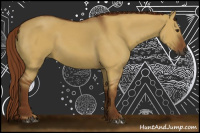 Horse Color:Gray Red Dun