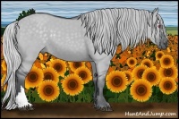 Horse Color:Silver Smoky Grullo Chinchilla