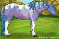 Horse Color:Watercolor Bay Tobiano 