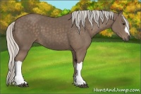 Horse Color:Silver Smoky Black 