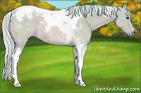 Horse Color:Watercolor Silver Bay Dun Tobiano Rabicano 