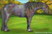 Horse Color:Nacre Black 