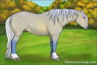 Horse Color:Watercolor Silver Buckskin Dun 