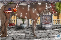 Horse Color:White Spotted Liver Chestnut 