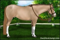 Horse Color:Liver Chestnut Pearl 