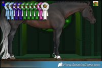 Horse Color:Brown 