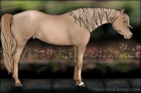 Horse Color:Liver Chestnut Pearl 