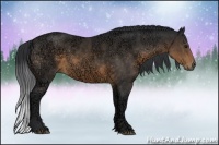 Horse Color:Buckskin Ice 