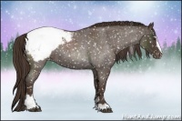 Horse Color:Liver Red Roan Sabino Snowcap 
