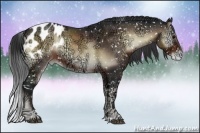 Horse Color:Brown Ice Onyx Appaloosa Rabicano 