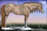 Horse Color:Liver Chestnut Pearl 