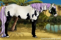 Horse Color:Painted Chocolate Palomino Pearl Sabino Splash 