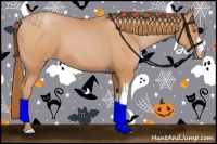 Horse Color:Bay Pearl 