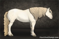 Horse Color:Buckskin Roan Pearl Dun  and Buckskin Roan Pearl Dun 