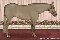 Horse Color:Liver Red Dun Rabicano